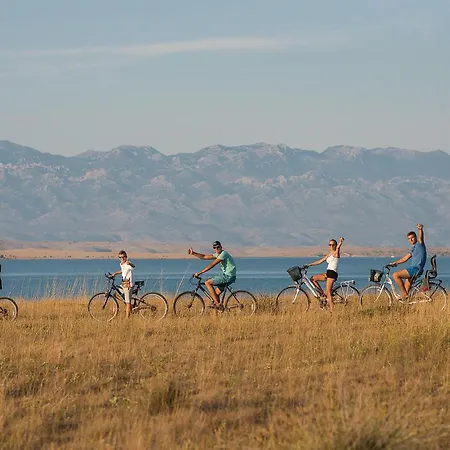 Vi * Privlaka (Zadar)